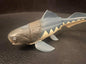 Dunkleosteus prehistoric fish dinosaur animal PVC Action Figure Model with Joints