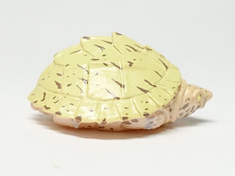 Kaiyodo Good Luck Charm Razor-backed musk turtle mini pvc figure model