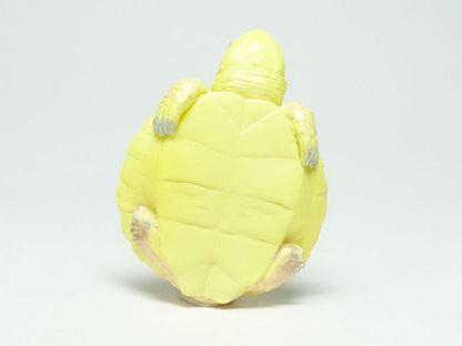 Kaiyodo Good Luck Charm Albino Pond Slider Turtle mini pvc figure model