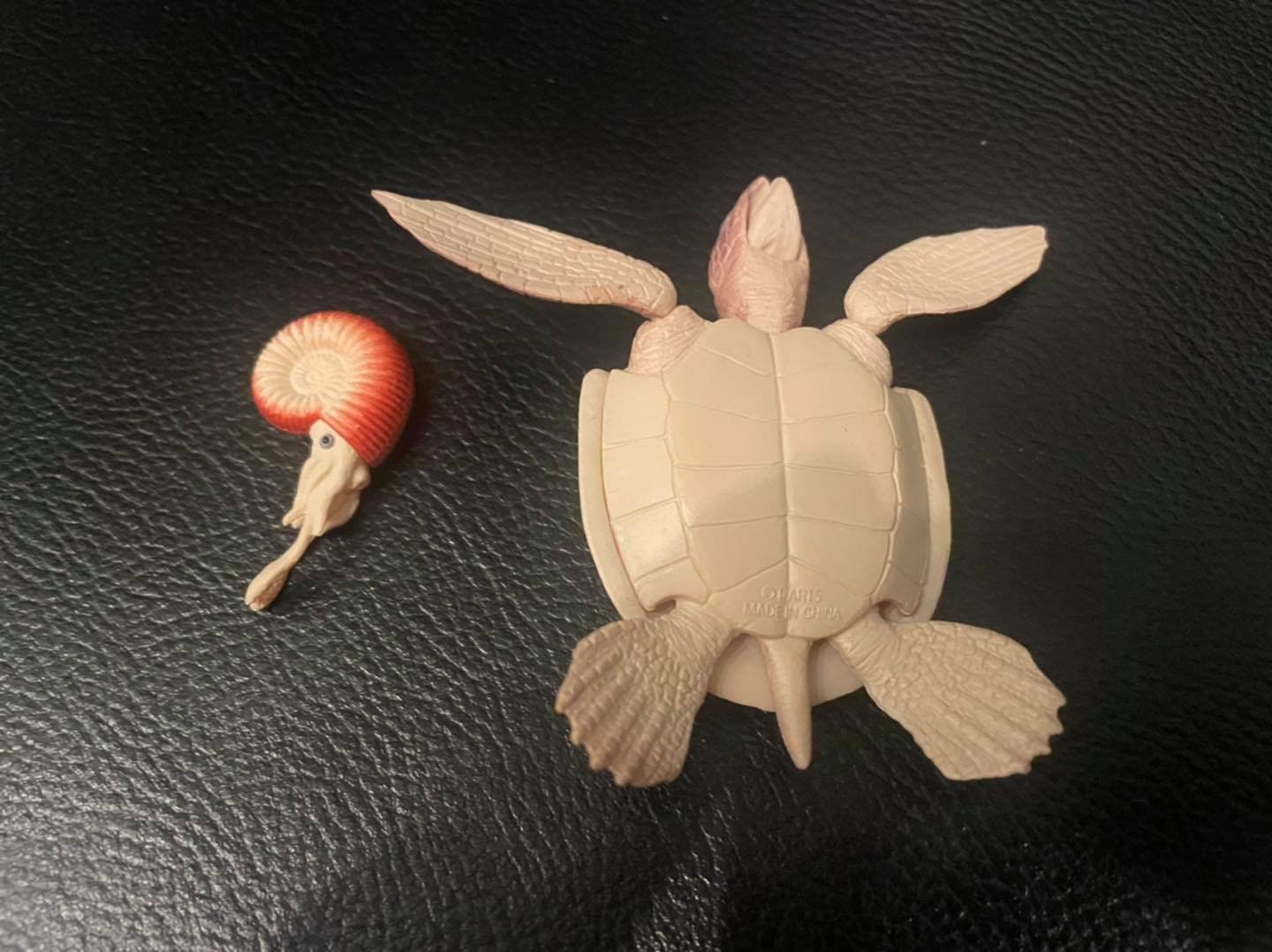 Archelon prehistoric sea turtle with Ammonite PVC Action Figure Model with Joints