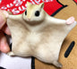 Japan Siberian flying squirrel Pet PVC hollowed figure model toy