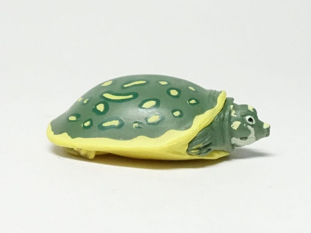 Kaiyodo Good Luck Charm Indian flapshell turtle mini pvc figure model