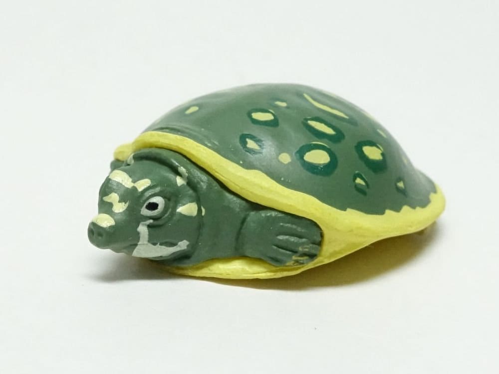 Kaiyodo Good Luck Charm Indian flapshell turtle mini pvc figure model