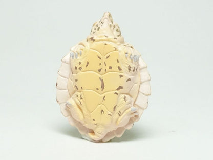 Kaiyodo Good Luck Charm Razor-backed musk turtle mini pvc figure model