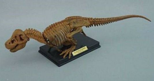 Tomy Takara Tyrannosaurus rex T-rex Dinosaur Skeleton PVC figurine figure SP Ver