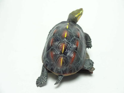 Kitan Club Golden Head Marginated box turtle PVC mini figurine figure model