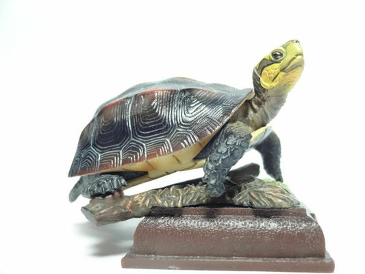 Kitan Club Golden Head Marginated box turtle PVC mini figurine figure model