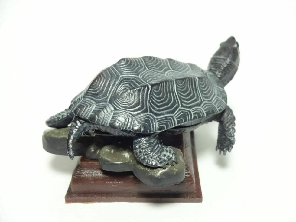 Kitan Club Black Chinese pond turtle PVC mini figurine figure model Rare