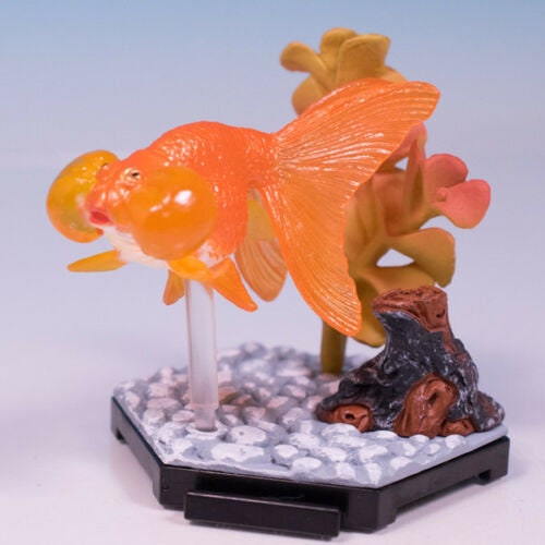 Japan Beam Freshwater Bubble Eye Goldfish Fish PVC mini figurine Figure Model