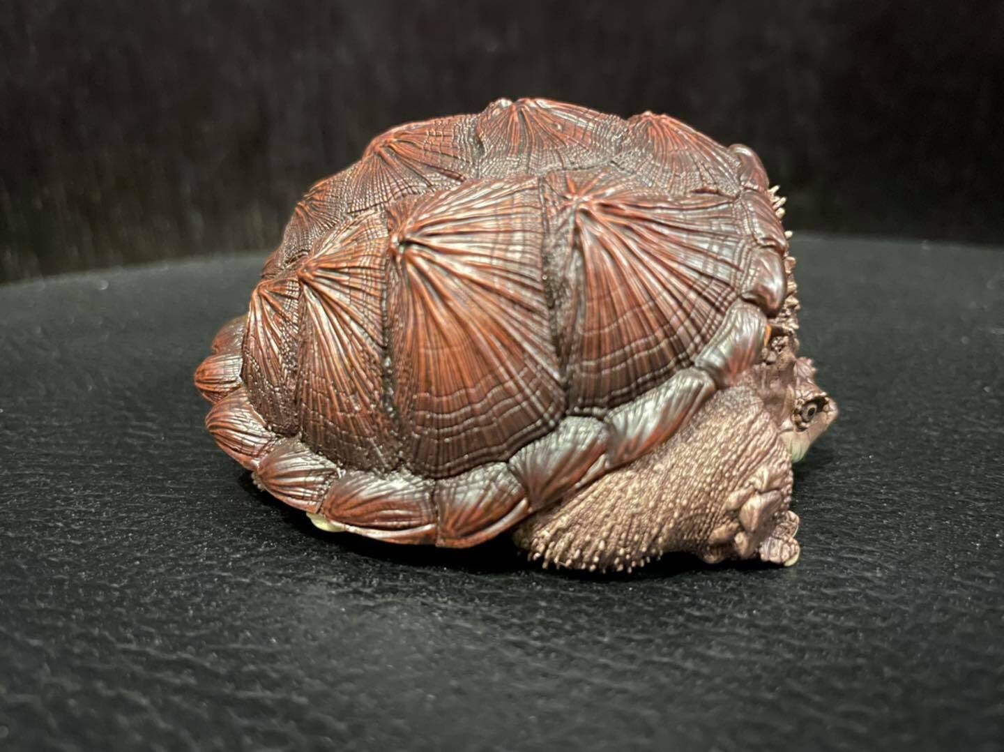 Fat Common Snapping Turtle Super Q  Resin Model Figure Figurine