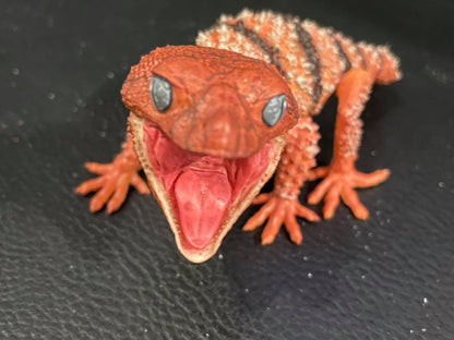 Rough Knob-tailed gecko lizard PVC Figure model with two different lower jaws