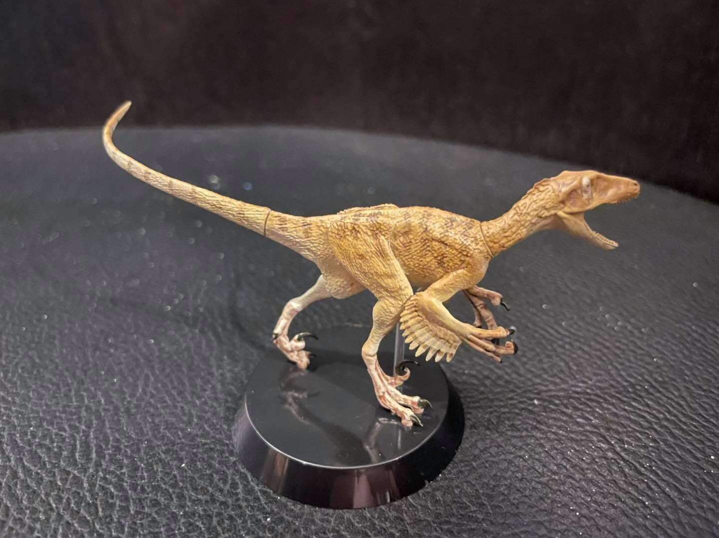 Qualia Deinonychus Dinosaur PVC mini Figure Figurine Model