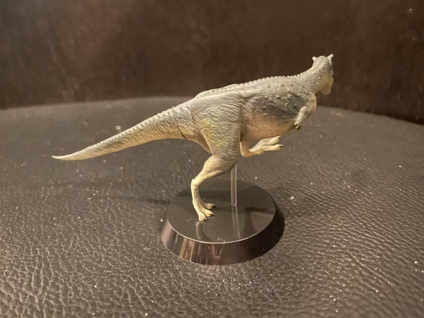 Qualia Carnotaurus Dinosaur PVC Figure Figurine Model