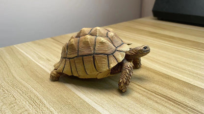 Geochelone sulcata tortoise Resin Replica Model Figurine Figure 10cm+-