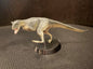 Qualia Carnotaurus Dinosaur PVC Figure Figurine Model