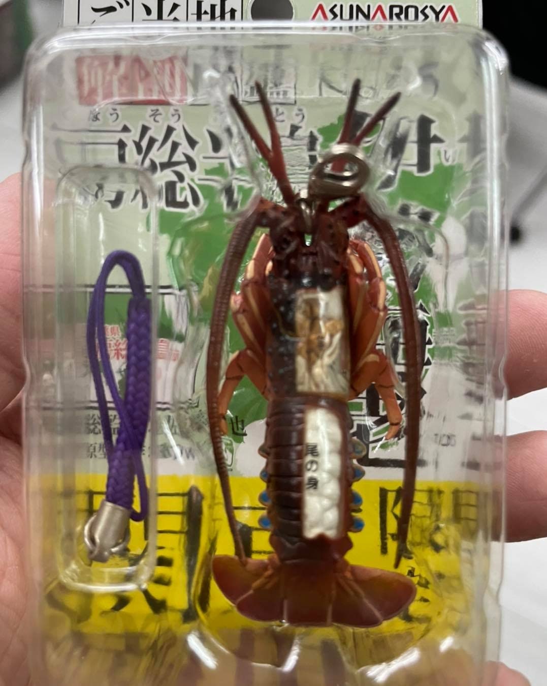 Retired Kitan Club Japanese spiny lobster Anatomy PVC Mini Figure Figurine Model