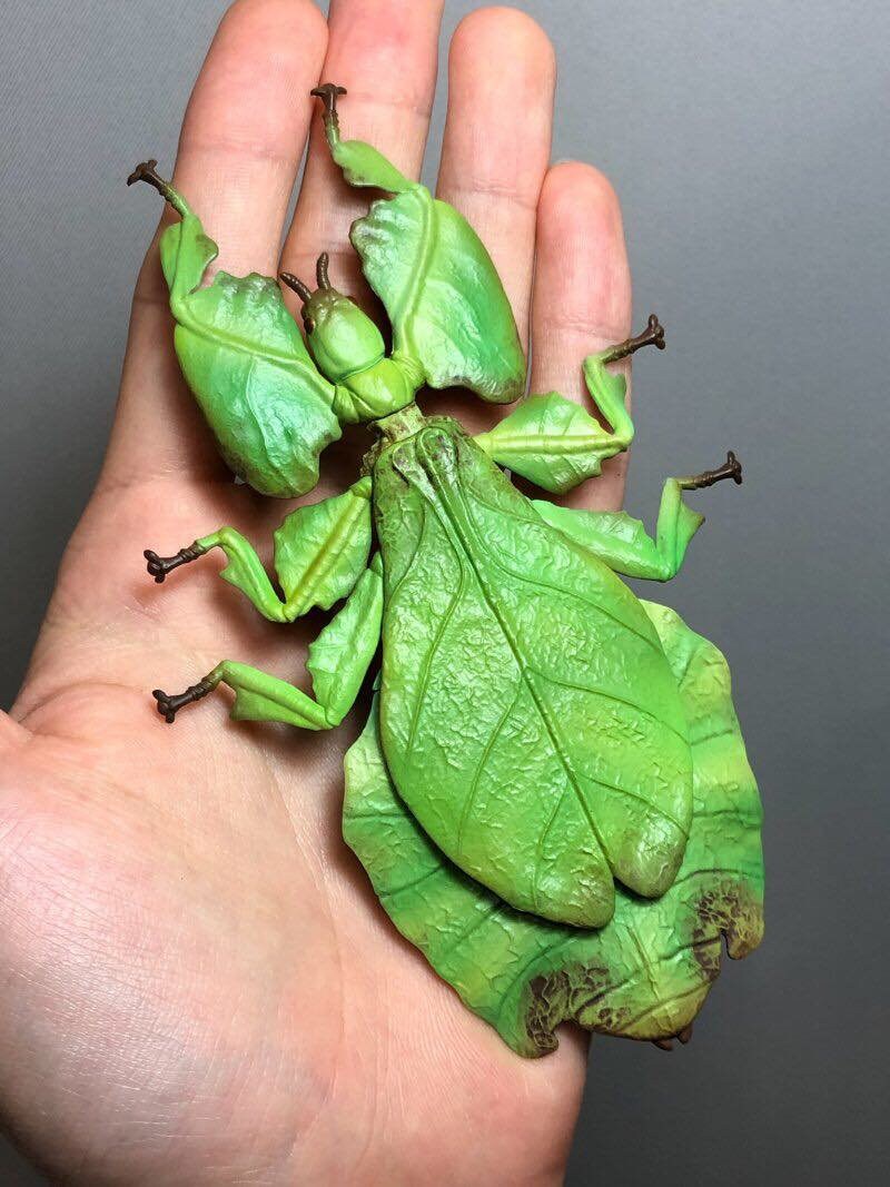 Japan Giant Malaysian Leaf insect PVC model figure figurine 13.3cm