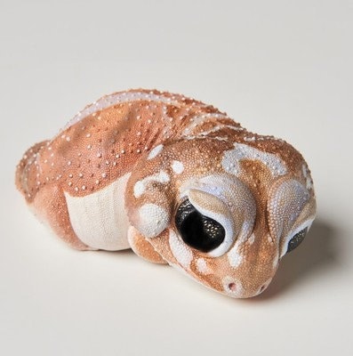 Knob-tailed gecko lizard Super Q Resin Model Figure Figurine A