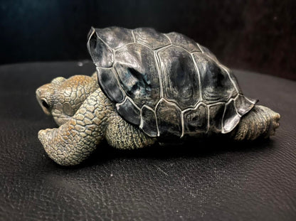 Resting Q Galápagos Galapagos Giant Land Tortoise Resin Replica Model Figurine Figure