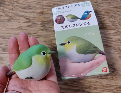 Japan Warbling white-eye Bird PVC hollowed figure model toy