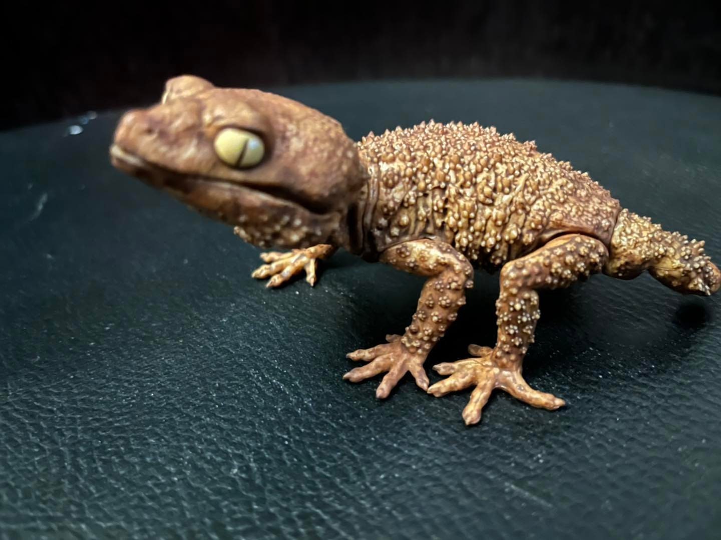 Rough Knob-tailed gecko lizard PVC Action Figure model special color