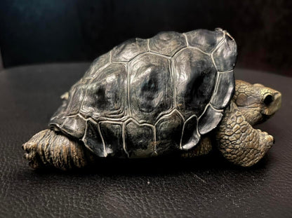 Resting Q Galápagos Galapagos Giant Land Tortoise Resin Replica Model Figurine Figure