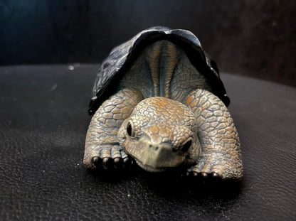 Resting Q Galápagos Galapagos Giant Land Tortoise Resin Replica Model Figurine Figure