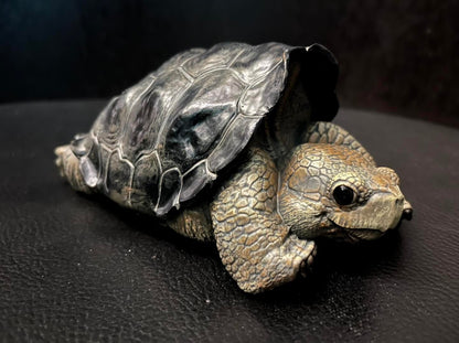 Resting Q Galápagos Galapagos Giant Land Tortoise Resin Replica Model Figurine Figure