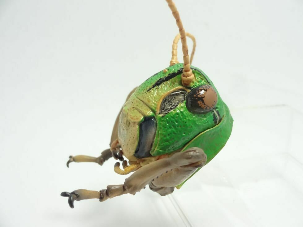 Migratory locust head Insect PVC Figure Model Figurine with Magnet