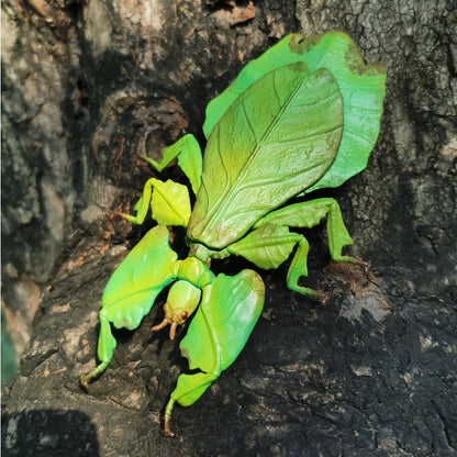 Japan Giant Malaysian Leaf insect PVC model figure figurine 13.3cm