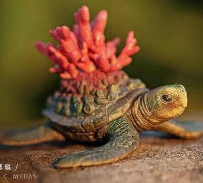 Sea Turtle with Mushroom Resin Mini Model Figurine Figure