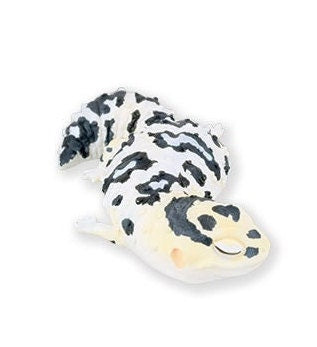 Japan Reptile Sleeping Albino Fat-Tailed gecko Lizard PVC mini pvc figure model B