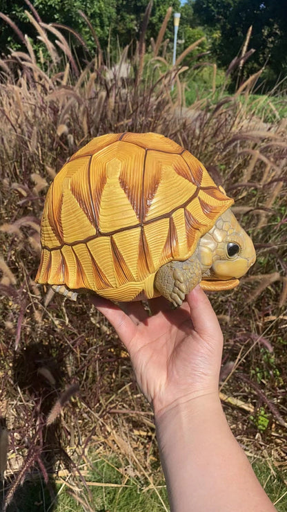 Super Q Large Angonoka Tortoise Resin Replica Model Figurine 24cm