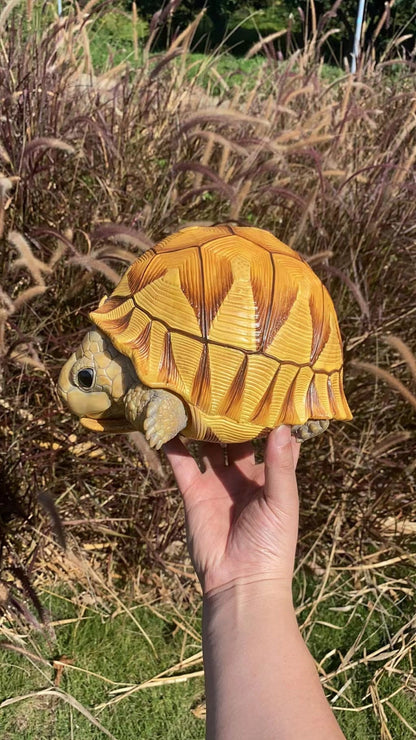 Super Q Large Angonoka Tortoise Resin Replica Model Figurine 24cm