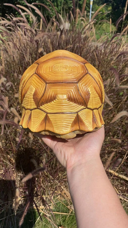 Super Q Large Angonoka Tortoise Resin Replica Model Figurine 24cm