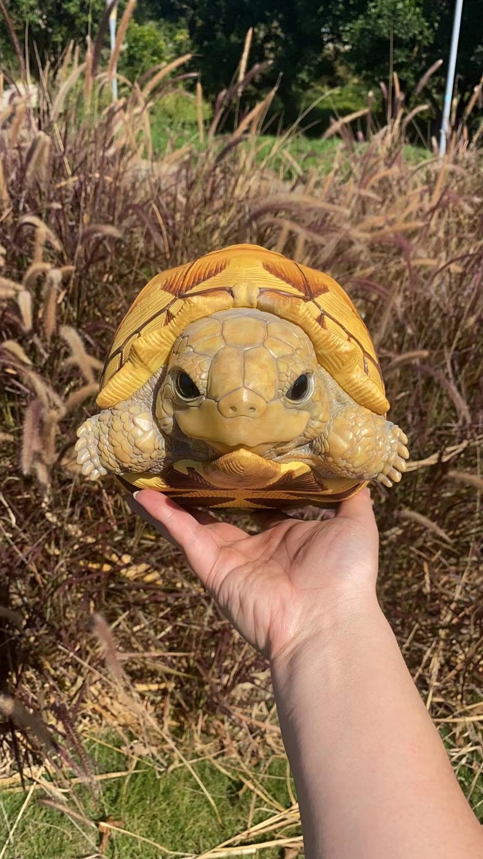 Super Q Large Angonoka Tortoise Resin Replica Model Figurine 24cm