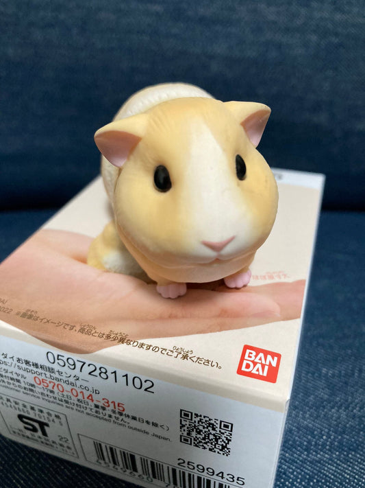 Japan Guinea pig Pet PVC hollowed figure model toy