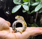 Leopard gecko Lizard Reptile Resin figurine figure model ring