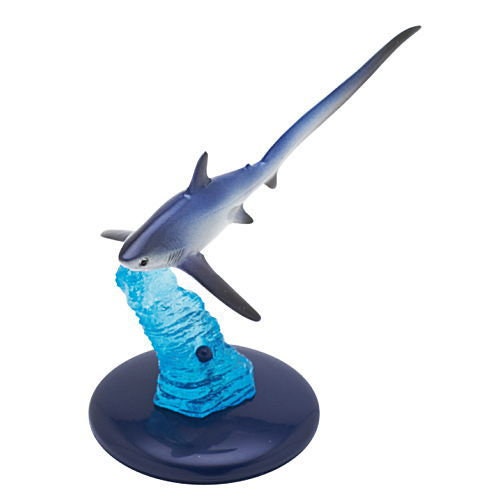 Japan Pelagic thresher Shark PVC mini capsule figure model figurine