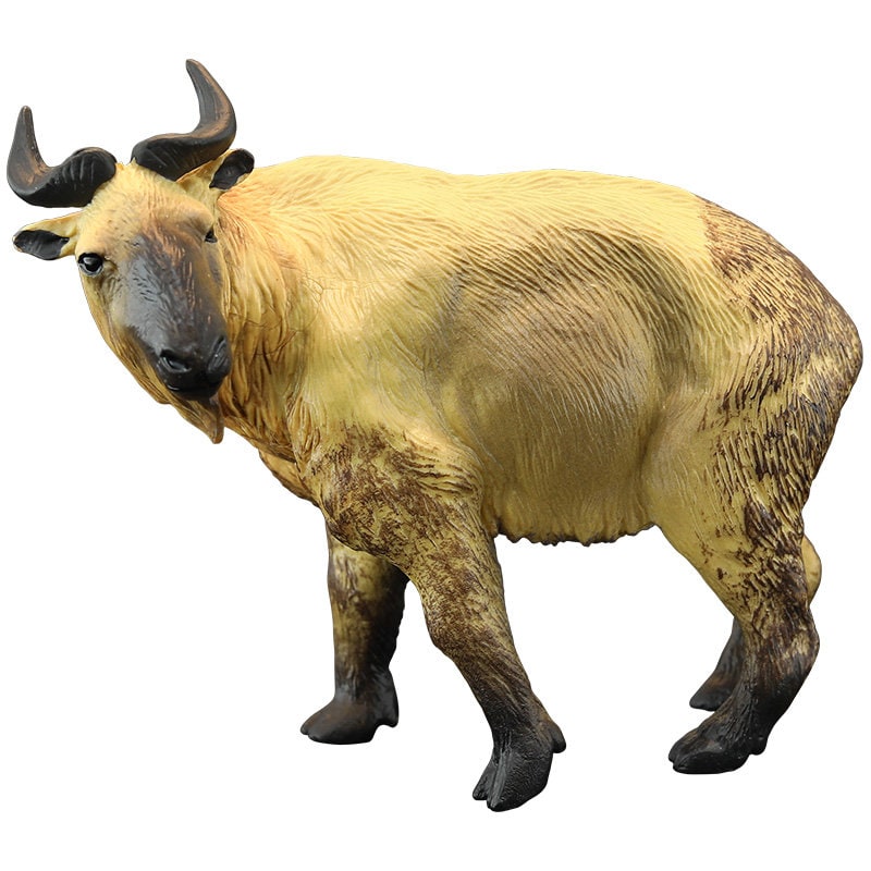 Takin cattle chamois animal PVC model figure figurine