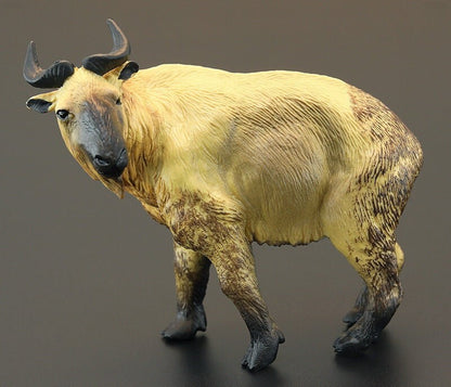 Takin cattle chamois animal PVC model figure figurine