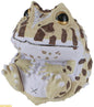 Japan Argentine horned frog PVC mini Netsuke Model Figurine Keychain B