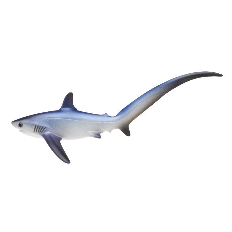 Japan Pelagic thresher Shark PVC mini capsule figure model figurine