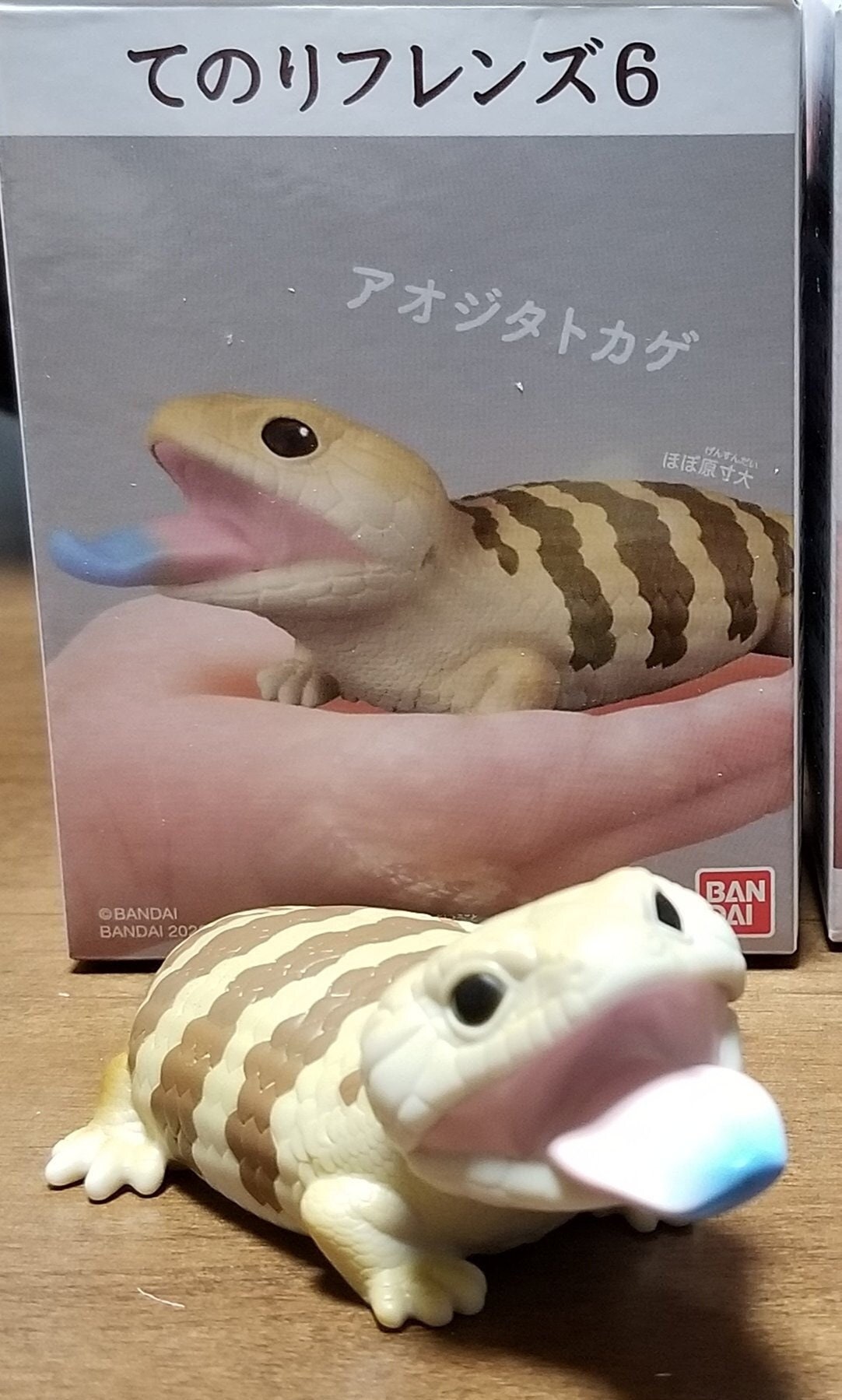 Japan Blue-tongued skink lizard PVC hollowed figure model toy