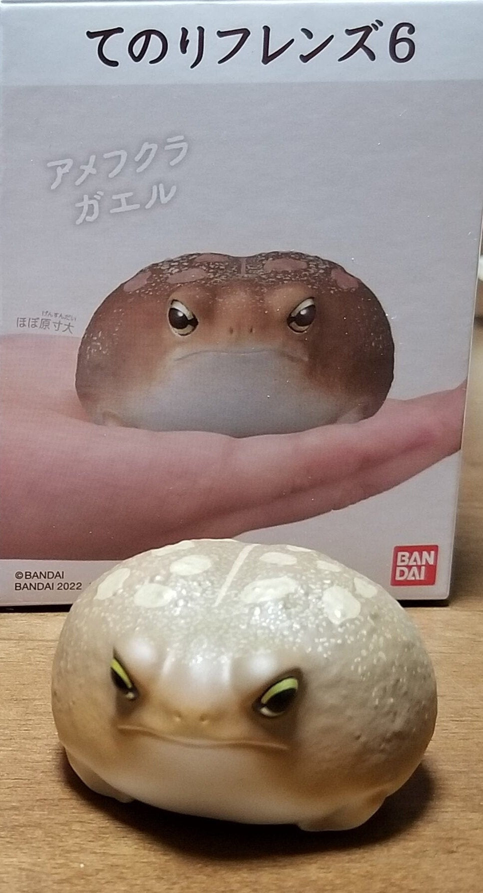 Japan Common bushveld rain frog PVC hollowed figure model toy