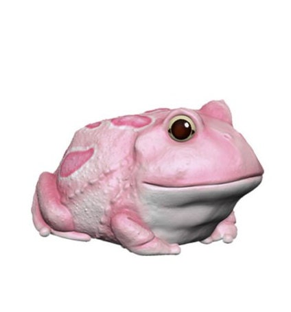 Japan Pink Horned Frog Reptile PVC hollowed figure model toy