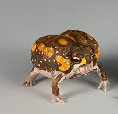 Bushveld rain frog Toad PVC Figure Model Figurine