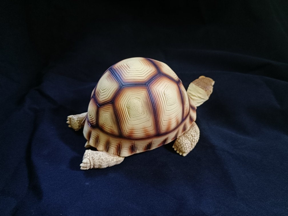 Angonoka Tortoise Lying Resin Replica Model Figurine 15.5cm