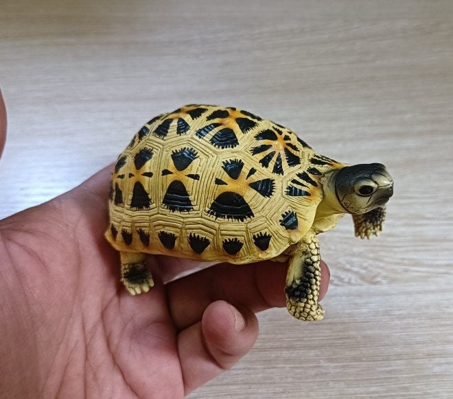 1:1 Life Size Spider Tortoise turtle Replica Figurine Figure Model Color A