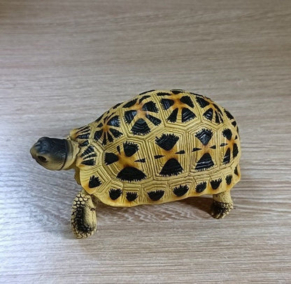 1:1 Life Size Spider Tortoise turtle Replica Figurine Figure Model Color A